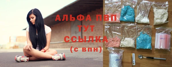 индика Армянск