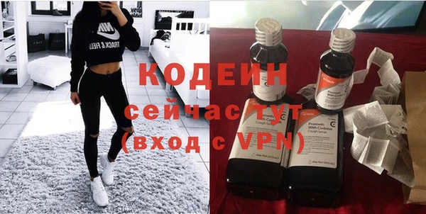 хмурый Алексин