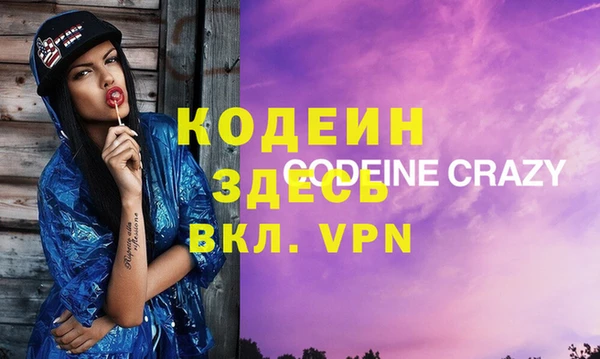 хмурый Алексин