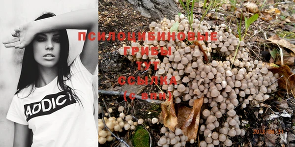 индика Армянск