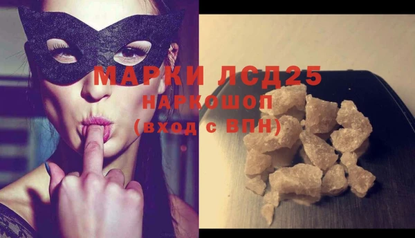 индика Грязовец
