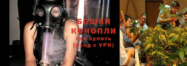 крисы Аркадак